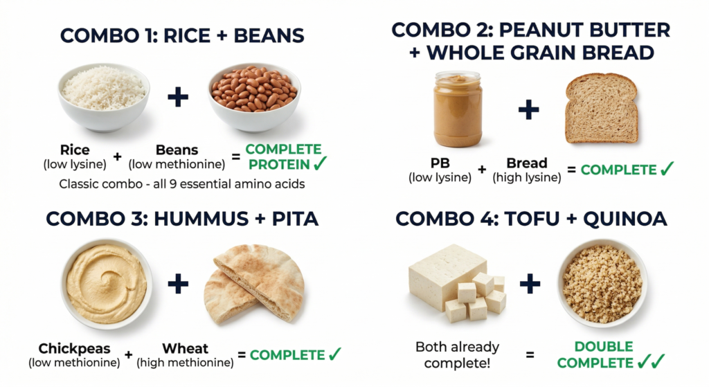 Plant protein combining guide infographic showing complementary protein combinations for vegetarians and vegans